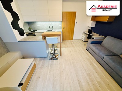 Pronájem bytu 1+kk 34 m² (Mezonet)