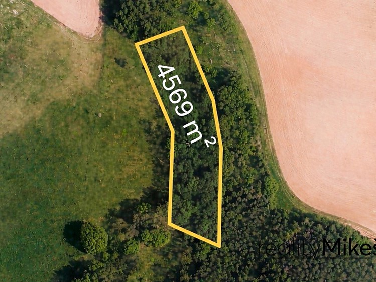 Ділянка на продаж, 4 569 м² (1 з 12)