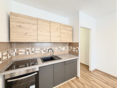 Pronájem bytu 1+1 39 m²