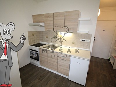 Pronájem bytu 1+kk 21 m²
