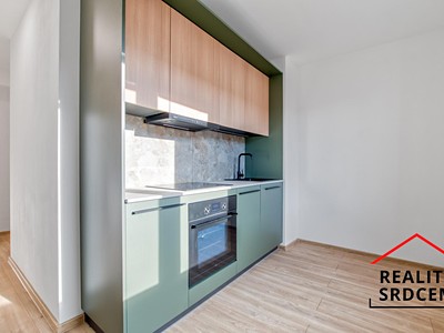 Pronájem bytu 1+1 35 m²