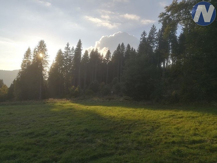 Ділянка на продаж, 14 303 м² (10 з 16)