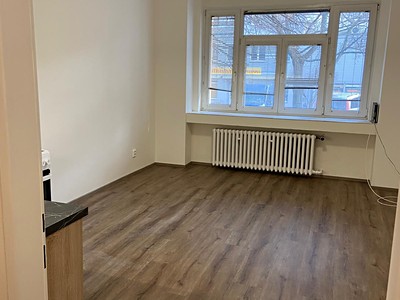 Pronájem bytu 1+kk 30 m² (Jednopodlažní)