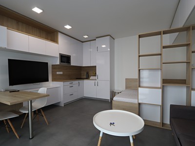 Pronájem bytu 1+kk 29 m² (Jednopodlažní)