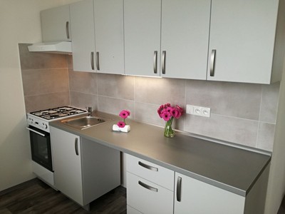 Pronájem bytu 2+1 55 m² (Jednopodlažní)