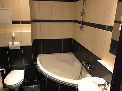 Pronájem bytu 1+kk 17 m² (Jednopodlažní)