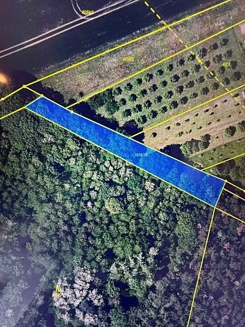 Prodej lesa 1340 m²