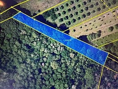 Prodej lesa 1340 m²