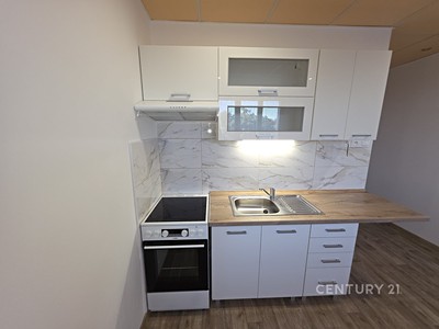 Pronájem bytu 1+1 35 m²