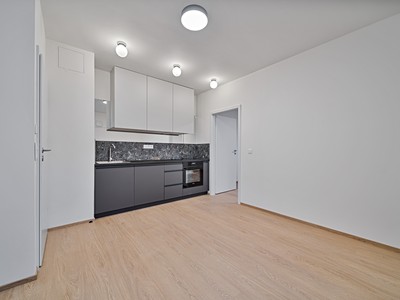 Pronájem bytu 2+kk 34 m² (Jednopodlažní)