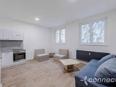 Pronájem bytu 1+kk 30 m²