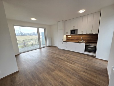 Pronájem bytu 2+kk 45 m² (Jednopodlažní)