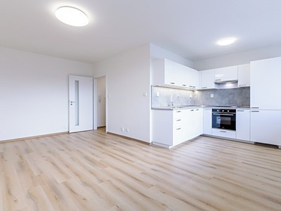 Pronájem bytu 1+kk 42 m²