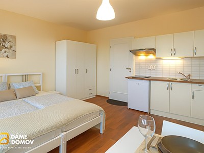 Pronájem bytu 1+kk 24 m²