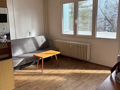 Pronájem bytu 1+kk 35 m² (Jednopodlažní)