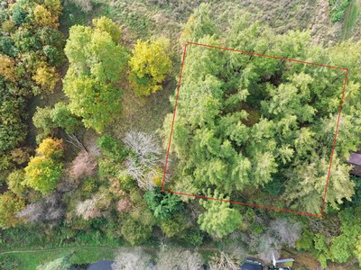 Prodej  lesa 986 m²