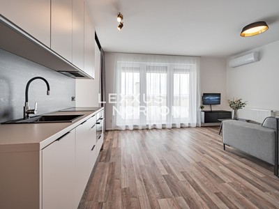 Pronájem bytu 1+kk 39 m²