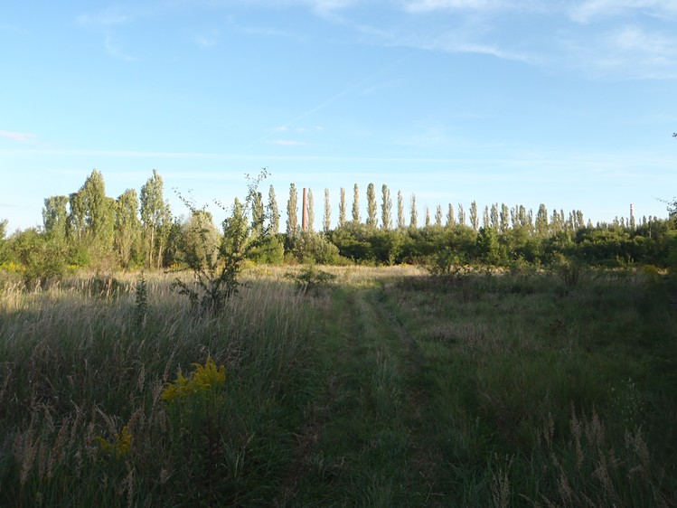 Grundstück zum Kauf, 8.401 m² (3 von 10)