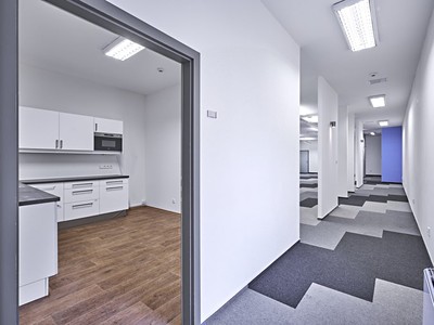 Pronájem kanceláře 246 m² — photo 4