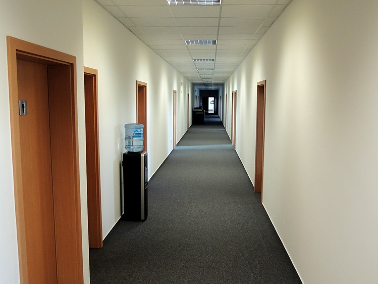 Gewerbefläche zur Miete, 831 m² (6 von 8)
