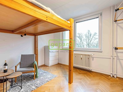 Pronájem bytu 1+1 35 m²
