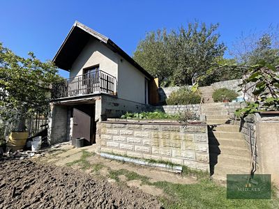 Prodej zahrady 392 m²