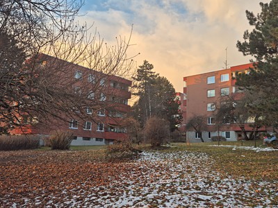 Pronájem bytu 1+kk 30 m² (Jednopodlažní)