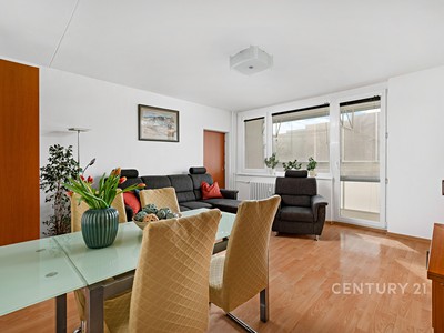 Prodej bytu 5+1 106 m²