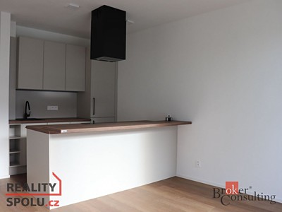 Pronájem bytu 1+kk 45 m²