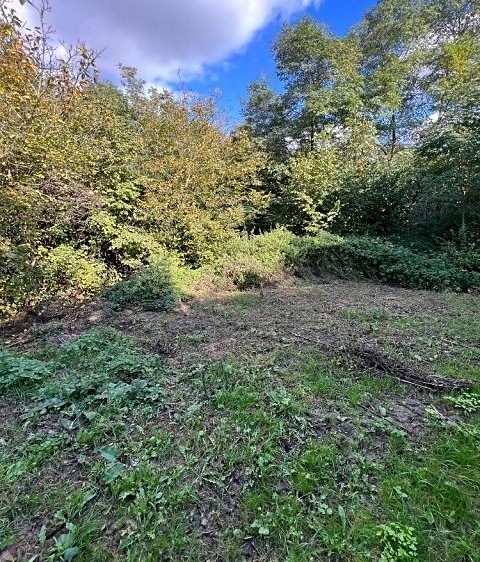 Grundstück zum Kauf, 910 m² (3 von 5)
