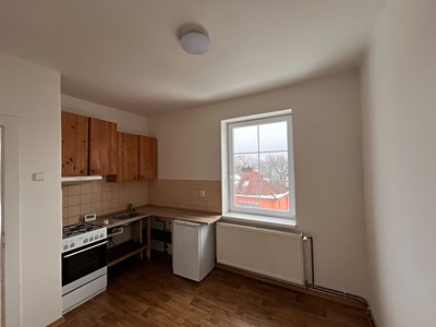 Pronájem bytu 1+1 30 m² (Jednopodlažní)