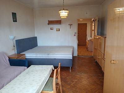 Pronájem bytu 1+1 34 m² (Jednopodlažní)