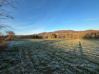 Prodej  komerčního pozemku 20 188 m²