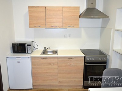 Pronájem bytu 1+kk 30 m²