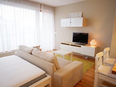 Pronájem bytu 1+kk 41 m² (Jednopodlažní)