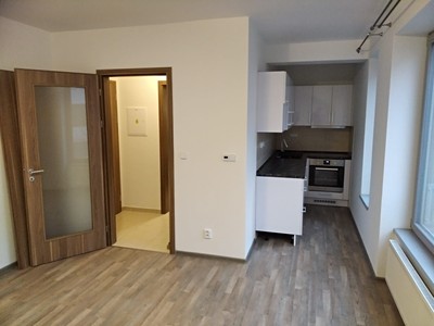 Pronájem bytu 1+kk 32 m² (Jednopodlažní)