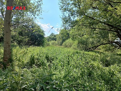 Prodej  pozemku 4 517 m²