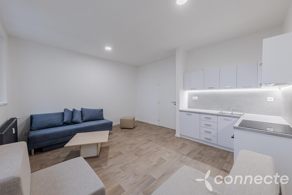 Pronájem bytu 1+kk 30 m² – fotografie 4