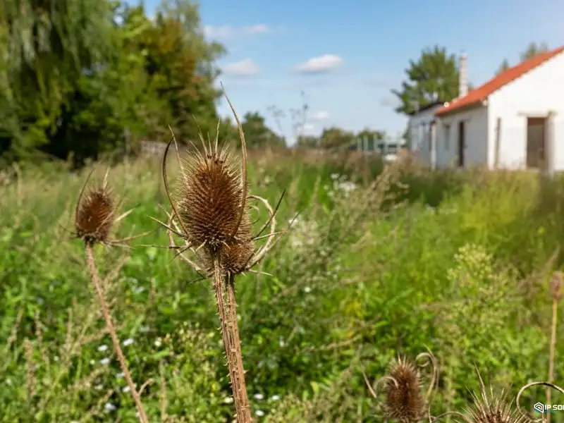 Prodej zahrady 1202 m², Břeclav – náhled fotky 1