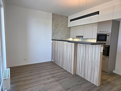 Pronájem bytu 2+kk 49 m² (Jednopodlažní)