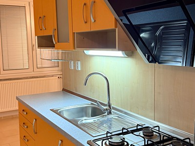 Pronájem bytu 1+1 41 m²