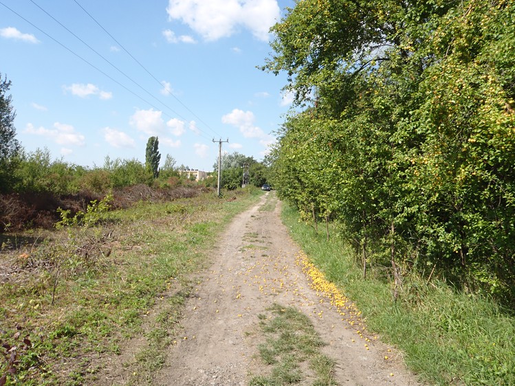 Grundstück zum Kauf, 8.401 m² (9 von 10)