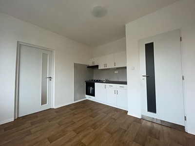 Pronájem bytu 1+1 35 m² (Jednopodlažní)