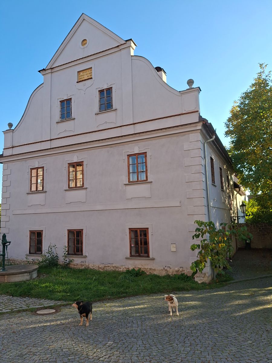 Prodej památky 250 m², pozemek 60 m²