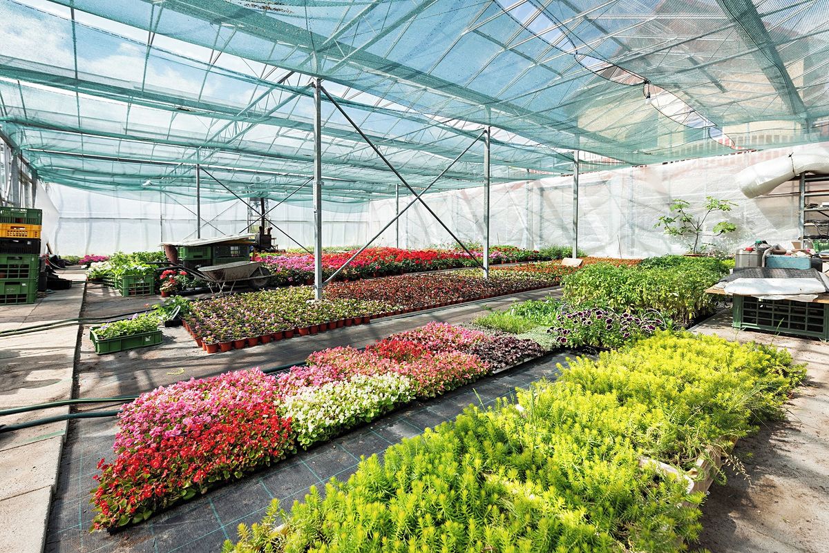 Prodej komerční nemovitosti 956 m²