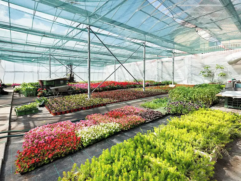Prodej komerční nemovitosti 956 m², Miřetice – náhled fotky 1