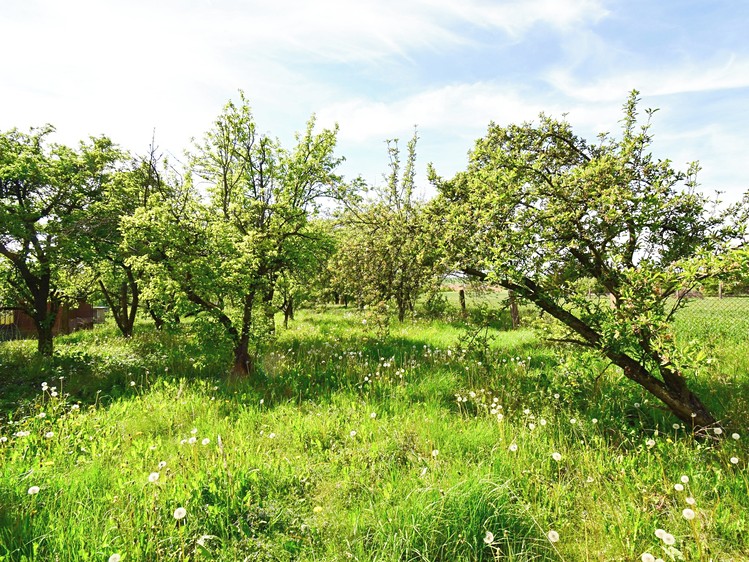 Grundstück zum Kauf, 2.033 m² (6 von 13)