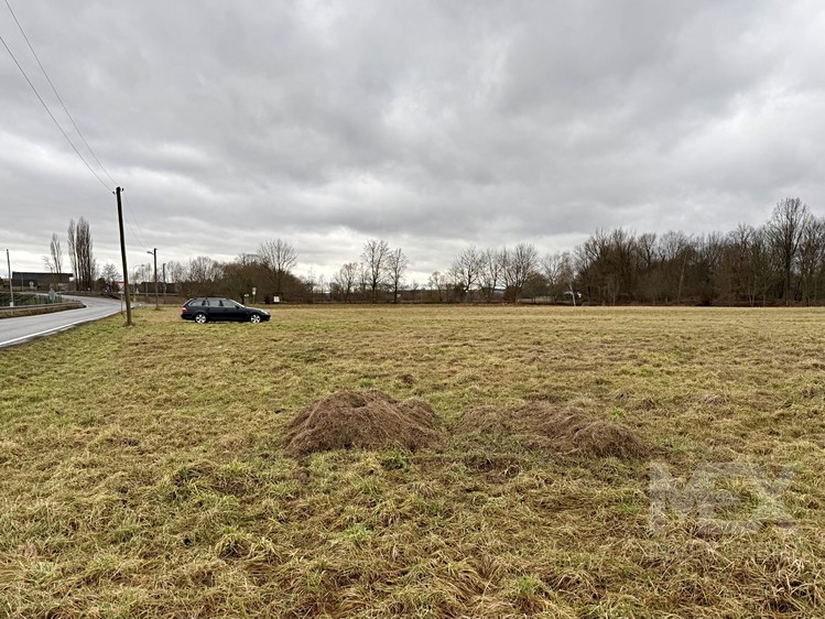 Grundstück zum Kauf, 4.078 m² (8 von 14)