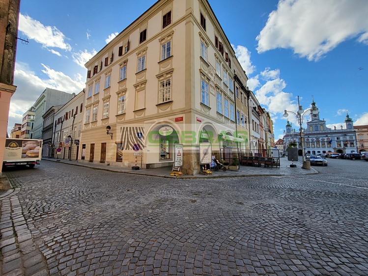 Pronájem komerčního prostoru, 163 m² (2 z 13)