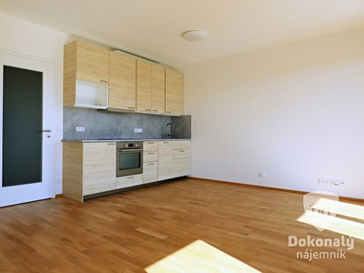 Pronájem bytu 1+kk 33 m²